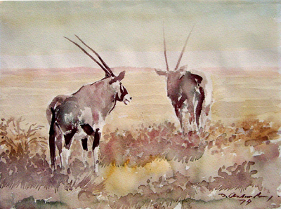 Bild Zwei Oryx von Uli Aschenborn